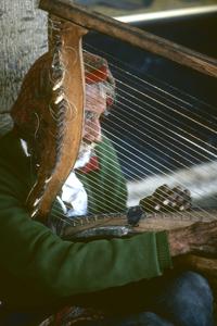 Harp player in Autlán, Jalisco
