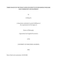 Three Essays on the Policy-induced Effects on Household Welfare and Community Development