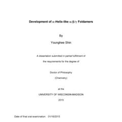 Development of α-Helix-like α/β/γ Foldamers