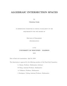 Algebraic Intersection Spaces