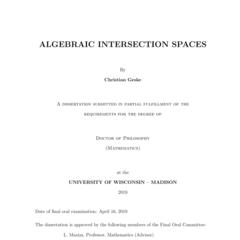 Algebraic Intersection Spaces