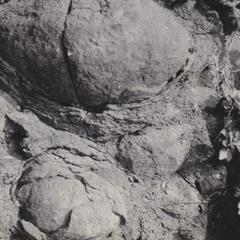 Spheroidal weathering in trap rock