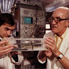 Arthur Hasler and Peter Hirsch odor and shock research