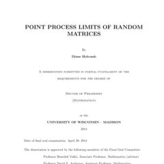 POINT PROCESS LIMITS OF RANDOM MATRICES