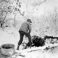Aldo Leopold digging in snow