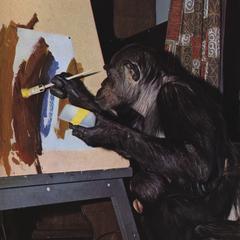 Painting Chimpanzee Photograph