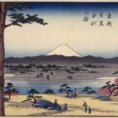 The Chiyo Promontory at Meguro in the Eastern Capital, no. 29 from the series Thirty-six Views of Mt. Fuji