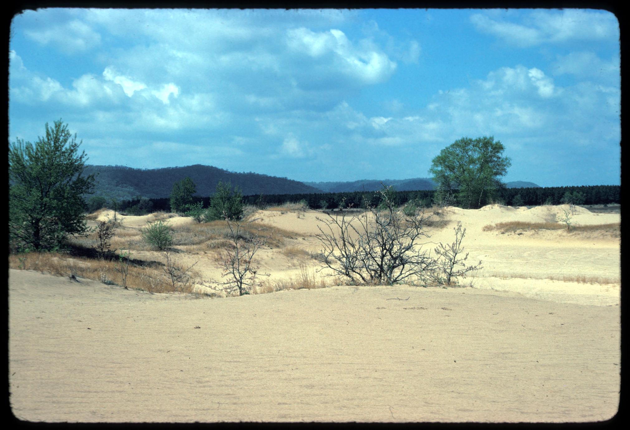 Sand, Sun, and Secrets: Exploring Ohio's Hidden Gem - Erie Sand Barrens State Nature Preserve