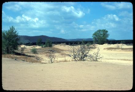 Sand blow and dune, Blue River Sand Barrens, State Scientific Area