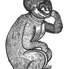 Monkey Woodcut