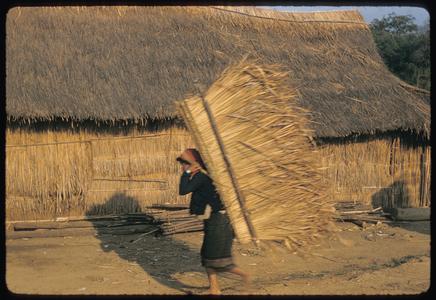 Kammu (Khmu') woman carrying thatch
