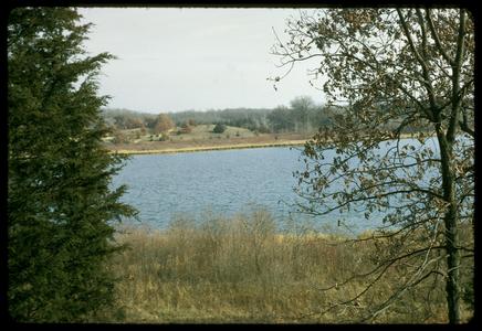 View of lake and hillside at John Muir Memorial Park