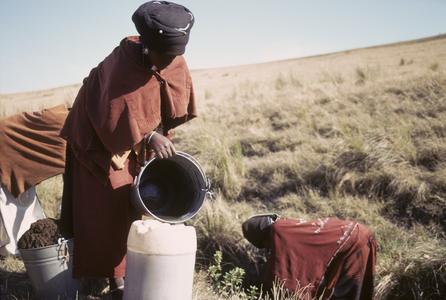 Southern Africa : Domestic Activities : building a house, getting water