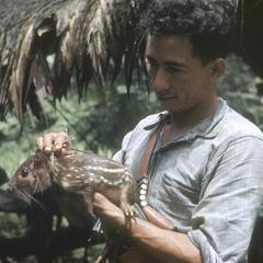 Sr. Hilberto Cruz and pet, Palenque Margaria