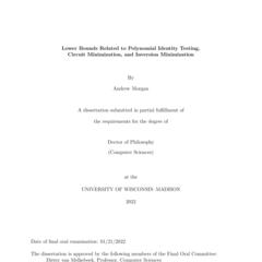 Lower Bounds Related to Polynomial Identity Testing, Circuit Minimization, and Inversion Minimization