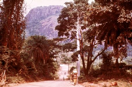 A Road through the Forests of Western Côte d'Ivoire