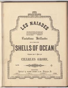 Shells of ocean