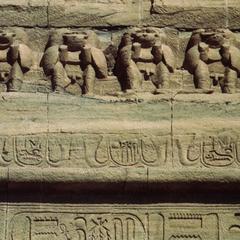Egyptian Hamadryas Baboon Carving Detail