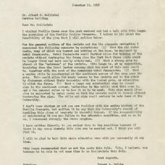 Aldo Leopold papers : 9/25/10-5 : Research Areas and Projects