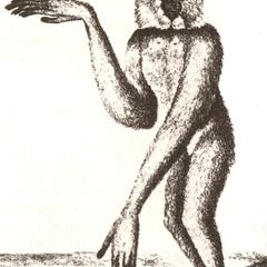 Gibbon