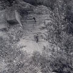 Richmond shale cliff
