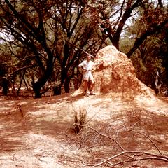 Person Standing in Front of an Anthill