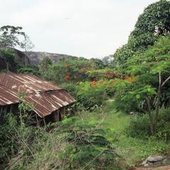 Buildings surrounded by vegetation in Idanre