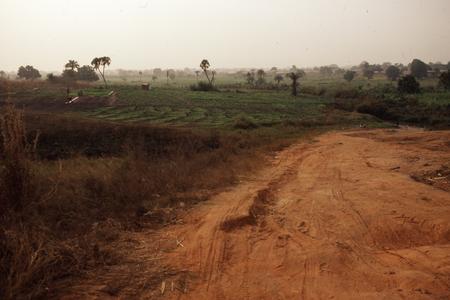 Farm land of Bida