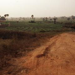 Farm land of Bida