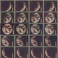 Object 2 titled Multi-panel image