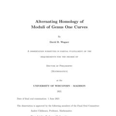 Alternating homology of moduli of genus one curves