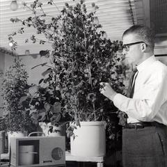 O.N. Allen in greenhouse