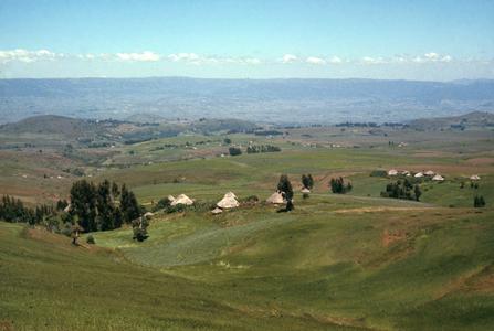 Oromo Countryside Showing Houses and Granaries