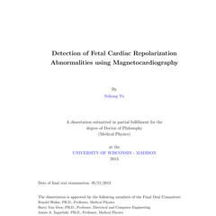Detection of Fetal Cardiac Repolarization Abnormalities using Magnetocardiography
