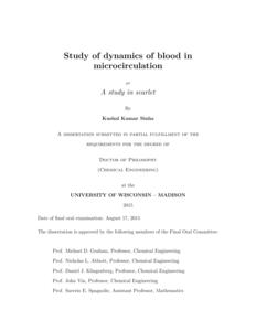 Study of dynamics of blood in microcirculation