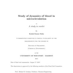 Study of dynamics of blood in microcirculation