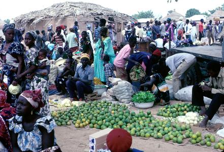 Oranges, Grapefruit, and Limes : Common Fruits in Village Market