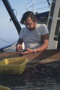 Bill Burns sorting trawl catch