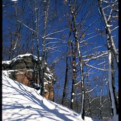 Winter view of a rock outcrop in a southern forest, Ridgeland