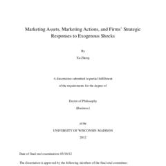 Marketing Assets, Marketing Actions, and Firms' Response Strategies to Exogenous Shocks