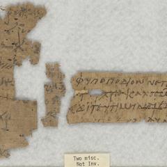 [Papyrus fragments]
