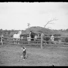 Thatched roof building and livestock
