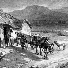 Ireland in the Long Nineteenth Century