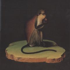Seated Mona Monkey Print