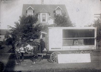 Circus wagon cage with lion