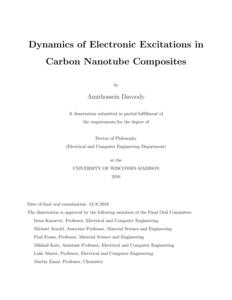 Dynamics of Electronic Excitations in Carbon Nanotube Composites