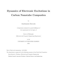 Dynamics of Electronic Excitations in Carbon Nanotube Composites