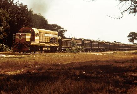 Train Carrying Copper Ore from Mindolo