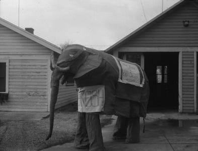 Elephant costume