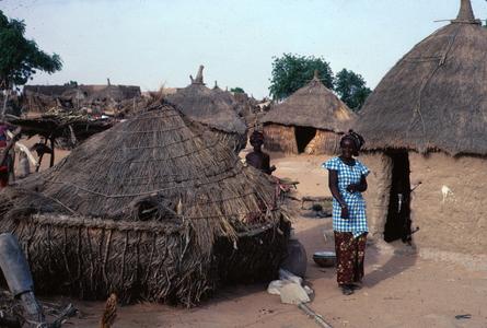 In a Hausa Compound, Dan Barko